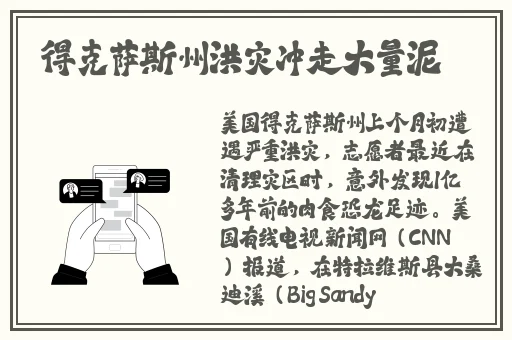 桃红色世官方主打进口